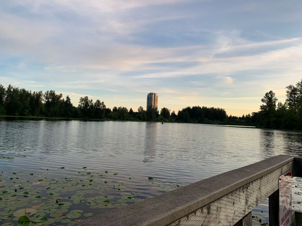 Mill lake at sunset, lone condo tower in the horizon among trees