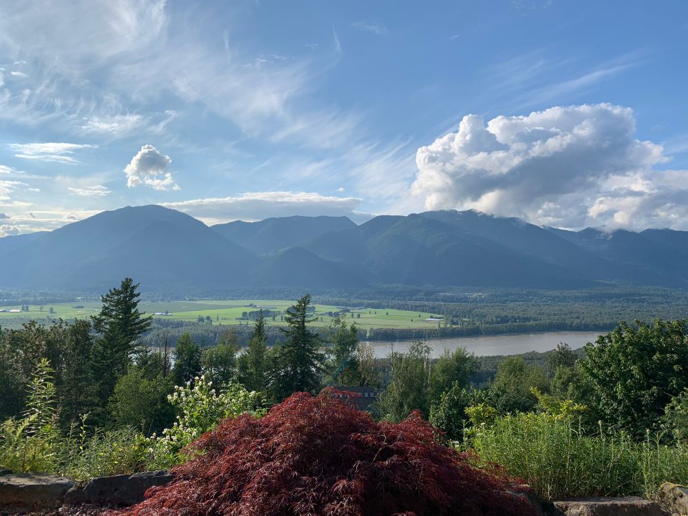 Mountain landscape with river and trees on sunny day