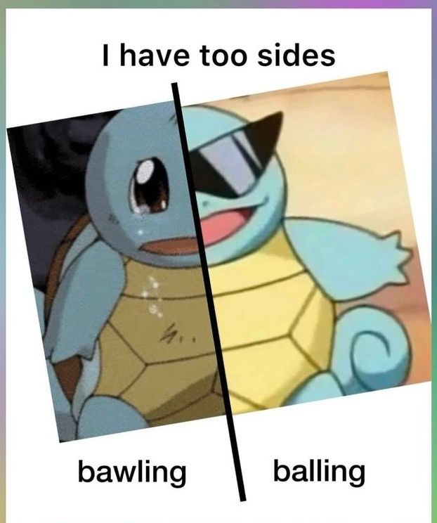 Fundo branco, com os escritos:
I have too sides - bawling/ balling 
Eu tenho dois lados - chorando/arrasando 

Como representação, temos o pokemon Squirtle (uma tartaruguinha azul) chorando e no outro lado o mesmo sorrindo com um óculos maneiro.
