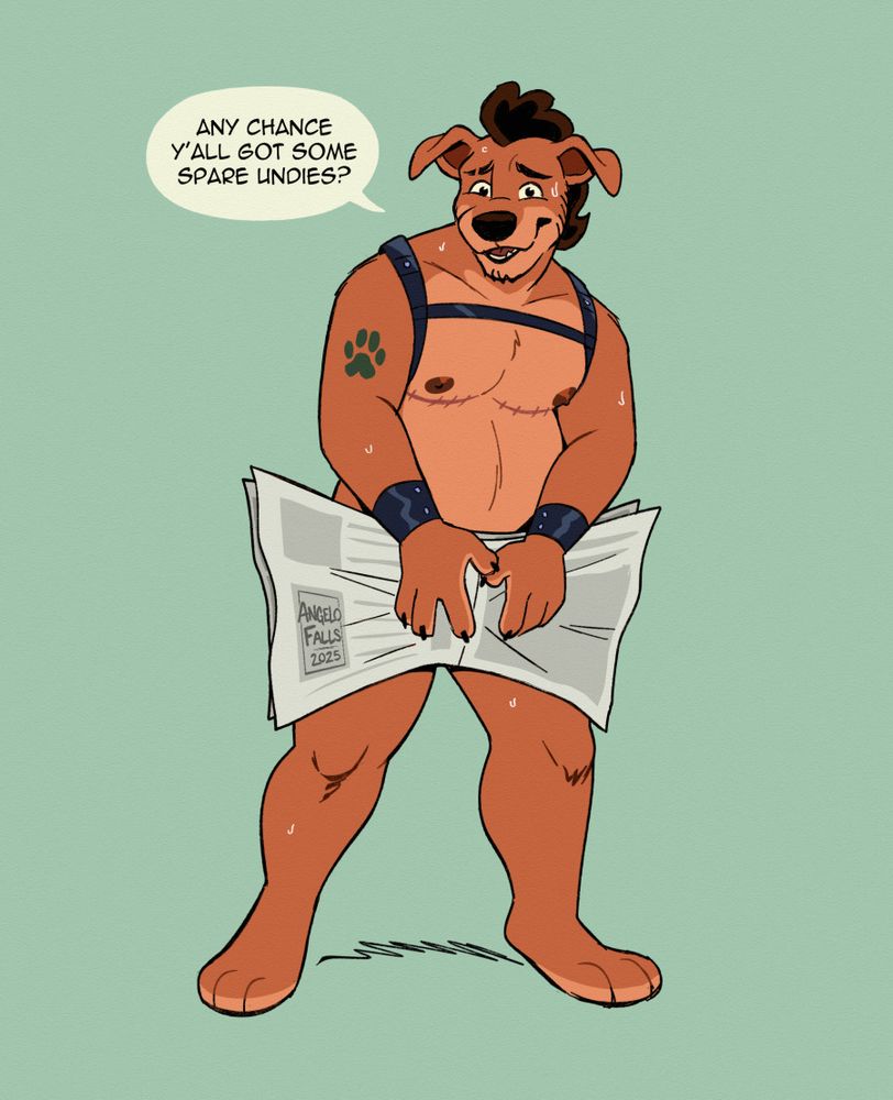 A cartoon drawing of Angelo, a trans male anthro pitador dog with an embarrassed facial expression looking at the viewer, wearing a leather chest harness and covering his crotch with a open newspaper. Dialogue: "Any chance y'all got some spare undies?"