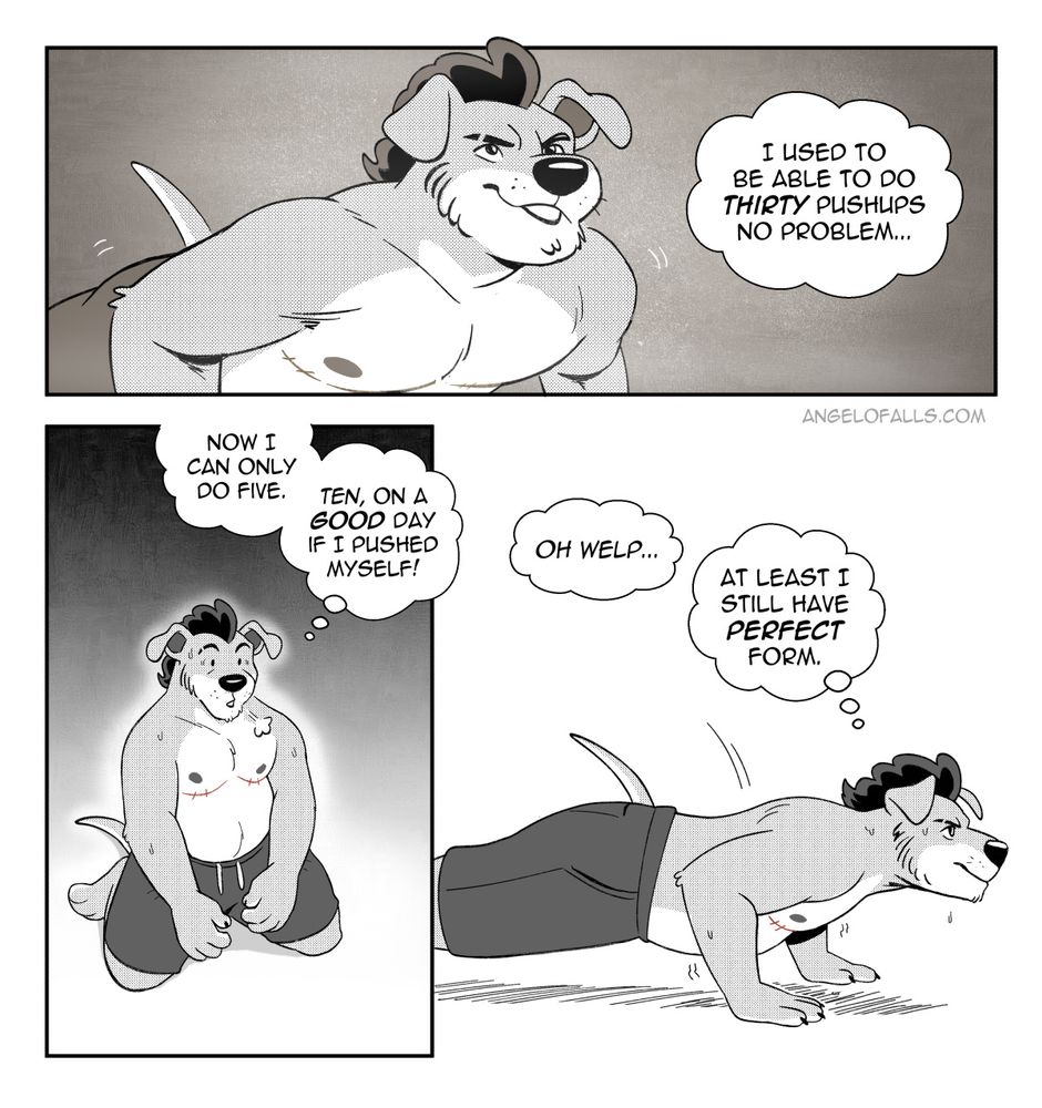 A 3 panel comic of Angelo, a trans male anthropomorphic pitador with a curly mohawk doing pushups. Panel 1 shows a flashback to when he was more fit. Panel 2 shows him in the present with a chubby body, on his knees, sweaty trying to catch his breathe. Panel 3, he goes back into pushup position despite it all. 

Speaking in thought bubbles he says "I used to be able to do thirty pushups no problem...now I can only do five. Ten on a GOOD day if I pushed myself!" / "Oh welp...at least I still have perfect form."
