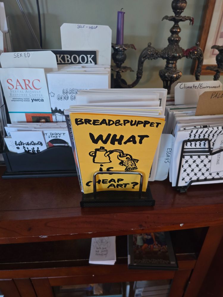 zines about art, the environment, international affairs, self help, and sex ed