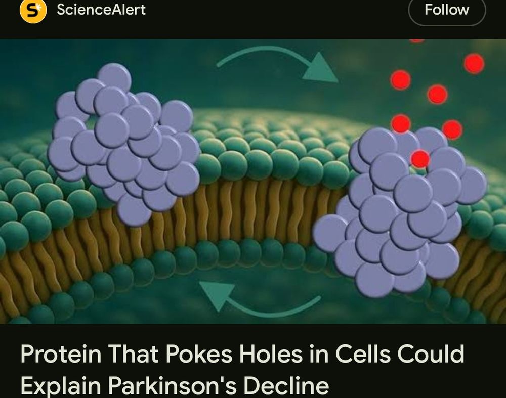 A diagram that kinda looks like directions for two Lumpy Space Princesses to perform some sort of action together. One of them appears embarrassed and the other appears to be falling in love