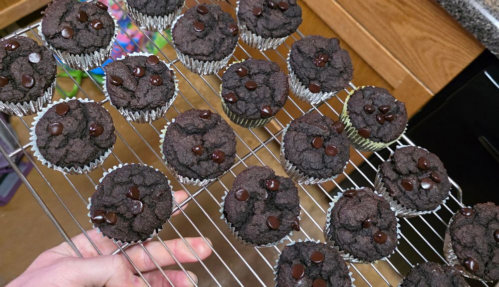The author holding a cooling rack containing freshly baked double chocolate keto muffins.