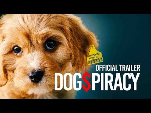 Dogspiracy - Trailer | In Select Cinemas August