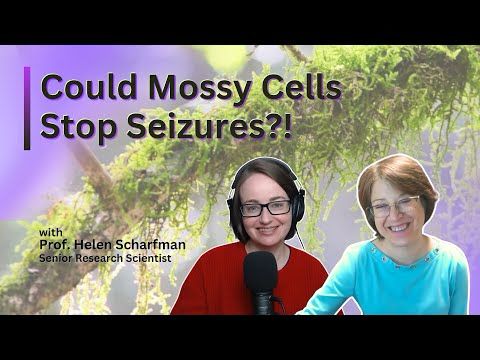 Your Brain: Mossy Cells and the Fight Against Epilepsy - Helen Scharfman