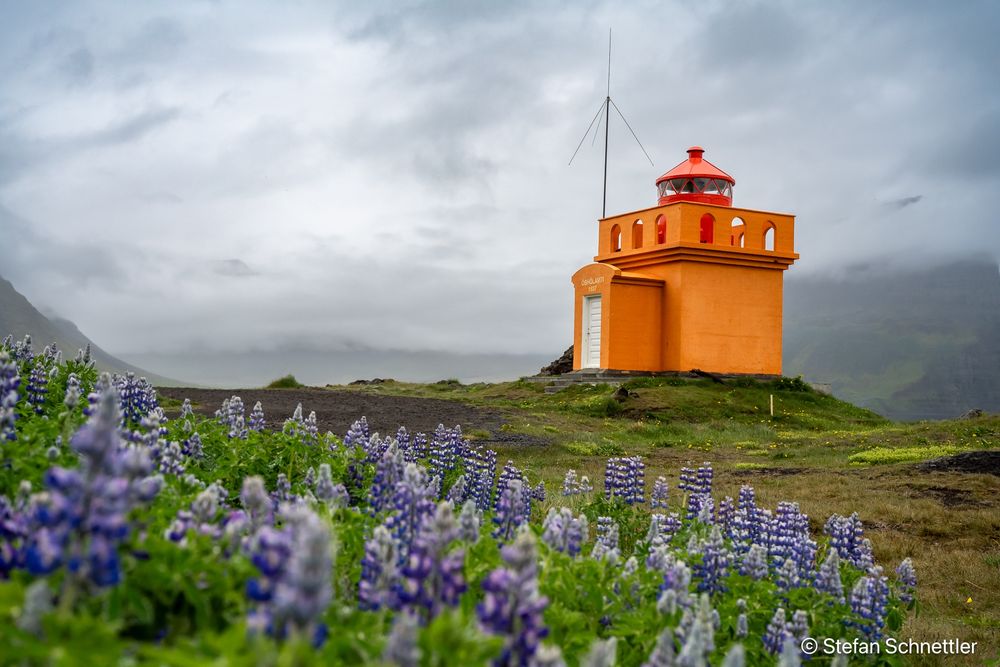 Óshólaviti a small orange lighthouse with lupins in the foreground.