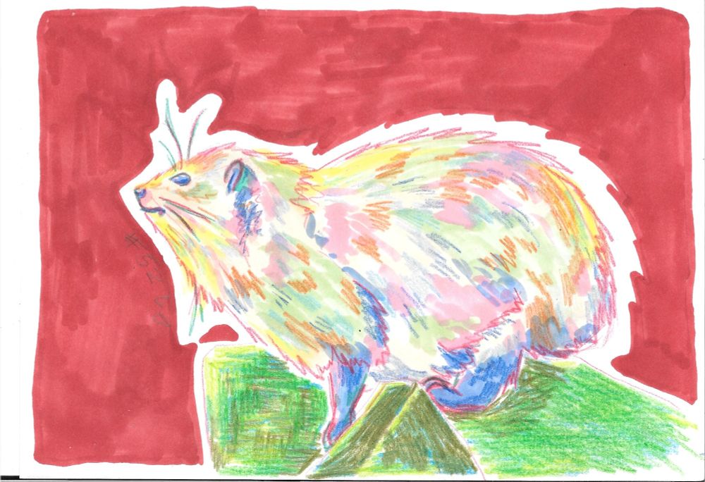 drawing of a colorful hyrax, perched on some green stones with a red background
