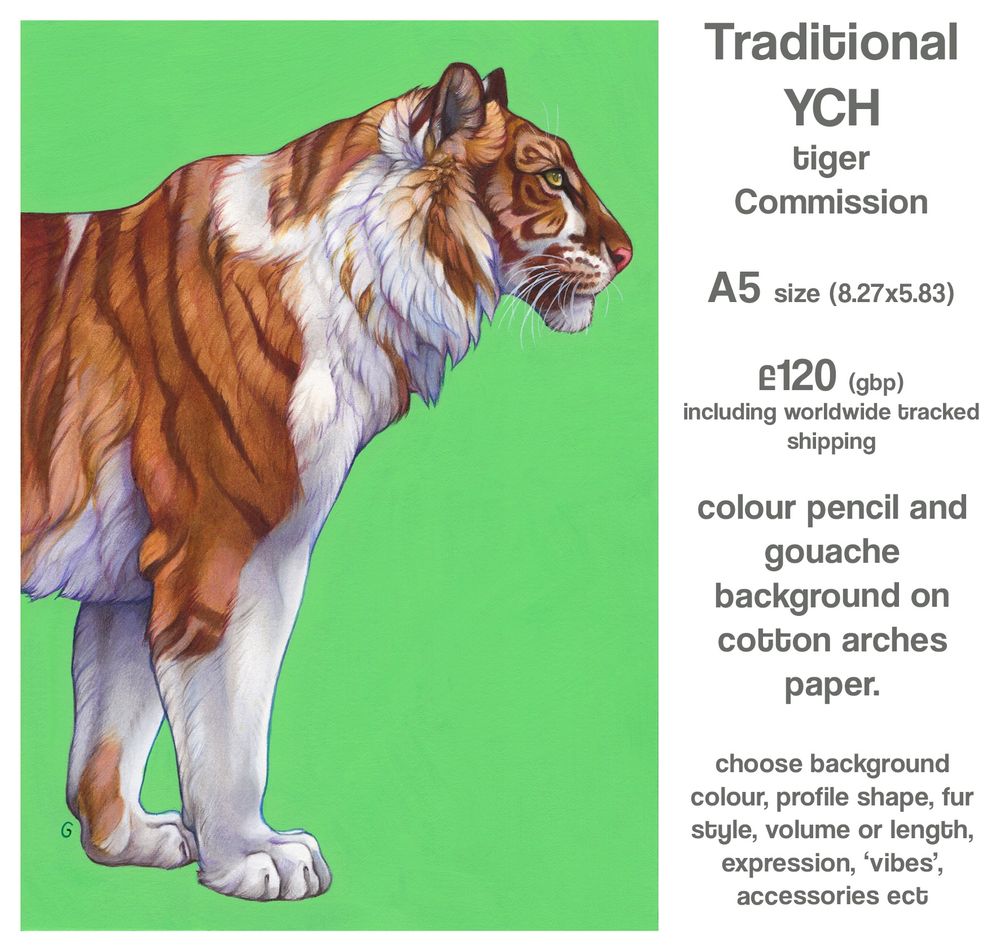 Drawing of a tiger with white patch markings on a green background. Text says: Traditional YCH tiger commission. A5 size. £120 including worldwide tracked shipping. Colour pencil and gouache background on cotton arches paper. Choose background colour, profile shape, fur style volume or length, expression, vibes, accessories etc.