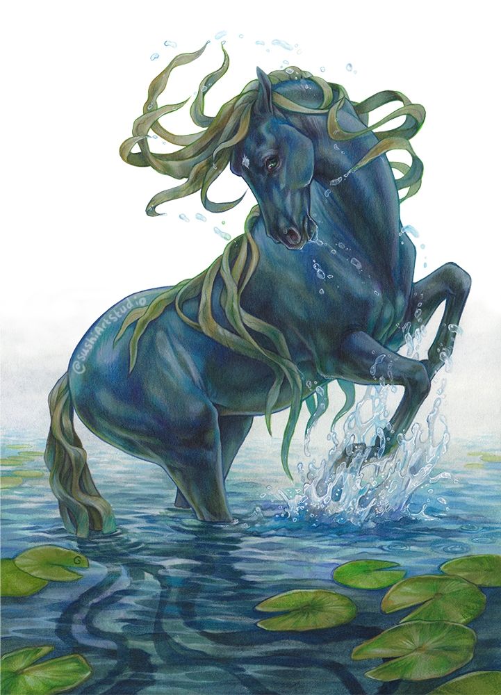 Drawing of a kelpie horse rearing out of the water with a seaweed mane and tail.