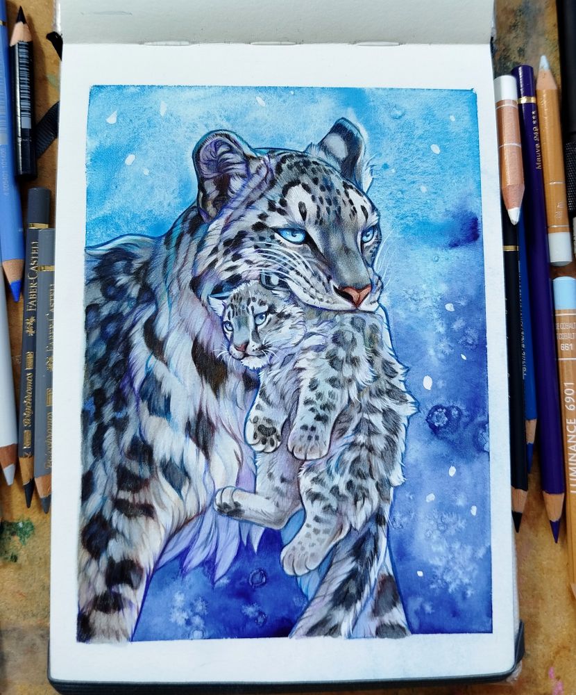 A sketchbook page drawing of a mother snow leopard carrying a cub in it's mouth surrounded by pencils 