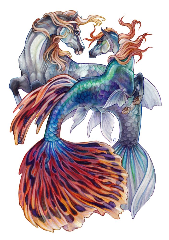 Two half fish half horse creatures based on guppy fish. The male is smaller with large brightly coloured flamboyant tail. The female is larger and grey coloured.