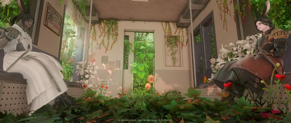 ホントに雰囲気が良すぎる……モノクロで撮影しようか迷った。。。