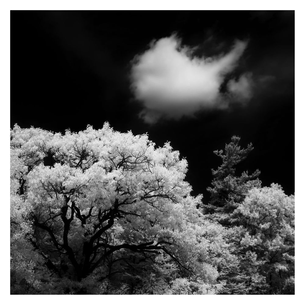 Infrared light on a bright, cloudless (well partly cloudless) day.