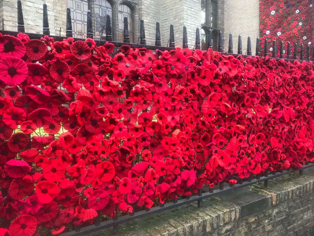 Knit poppies adorning the fencing surrounding St. George’s Memorial Chapel, Ypres, Belgium, for the centenary of Armistice Day, November 11, 2018. 