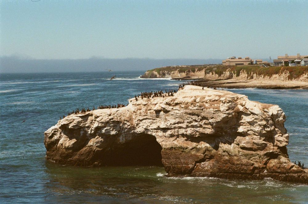 The natural bridge fills the center of the photograph. You can now tell that the birds on top of the rock are cormorants, and there are also a couple of pelicans in flight over the rock. Waves may be seen breaking on the point in the background, where a large building stands slightly back from the water's edge. (It's the Seymour Center at UC Santa Cruz's Long Marine Lab.) 85mm setting on the zoom lens.