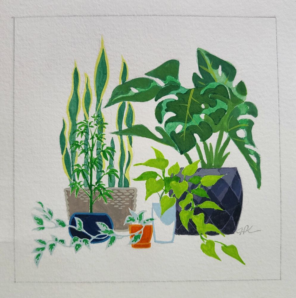 A simple gouache illustration of various plants clustered together in an arrangement.