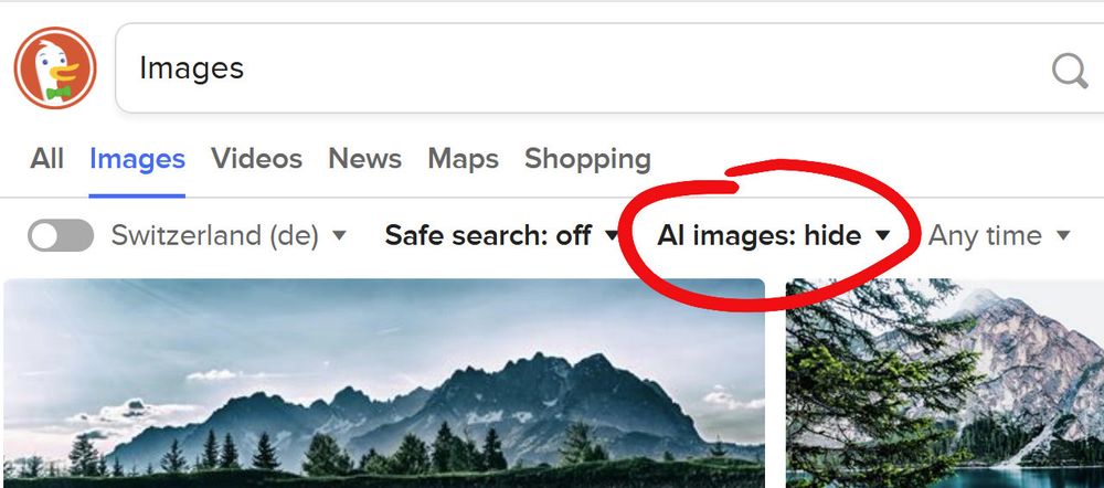 Duckduckgo image search, now with AI blocking function