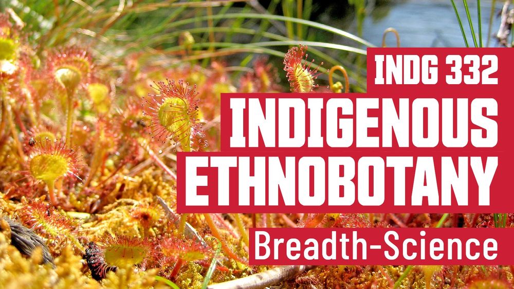 
INDG 332 - Indigenous Ethnobotany
Breadth-Science
Photo: sundew on the Hesquiat Peninsula Trail