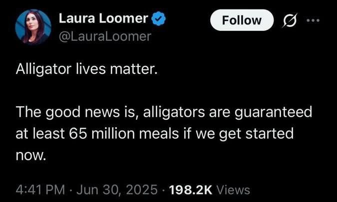 Tweet from Laura loomer. Alligator lives matter. The good news is, alligators are guaranteed at least 65 million meals if we get started now.
