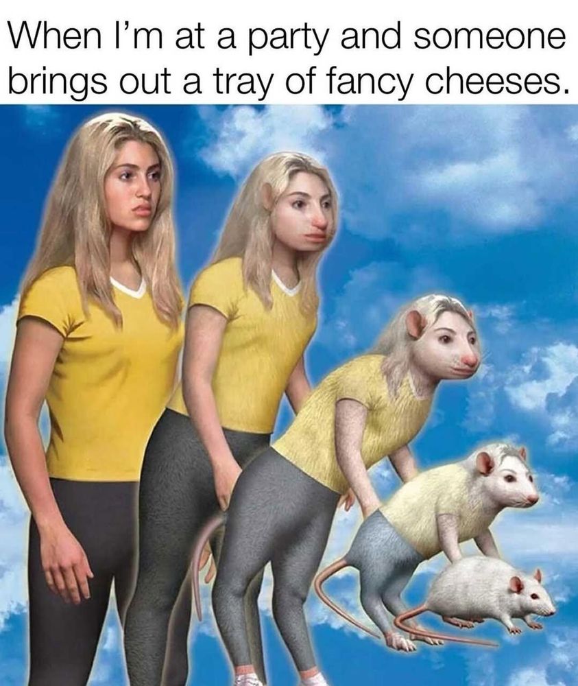 "when I'm at a party and someone brings out a tray of fancy cheeses" image of girl turning into a mouse from Animorphs