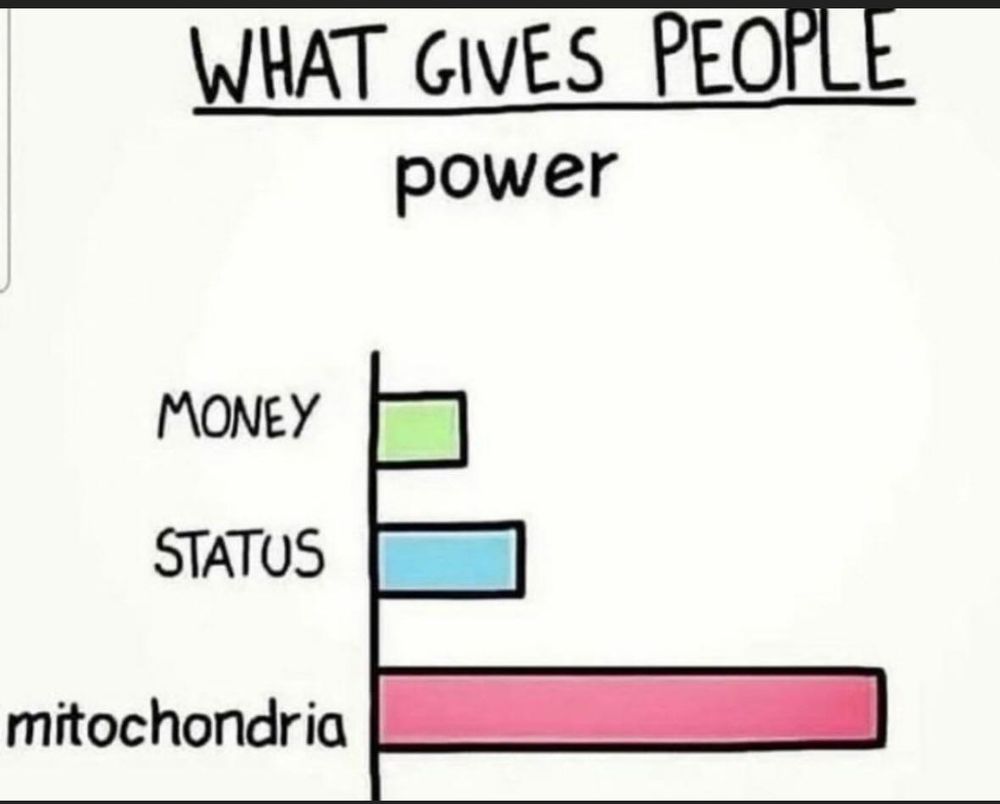 Chart, what gives people power: money, a little bit. Status, a little bit. Mitochondria, a lot