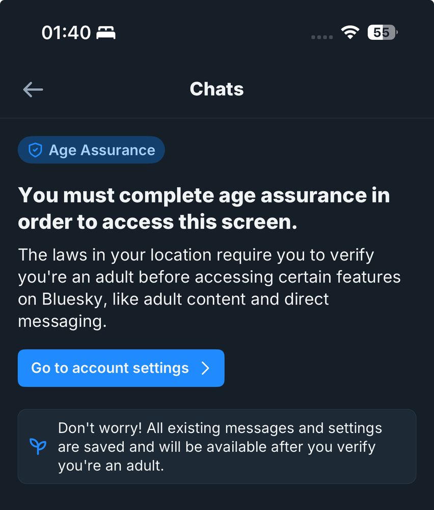 A screenshot showing I can’t access my DMs on Bluesky until I complete age verification 