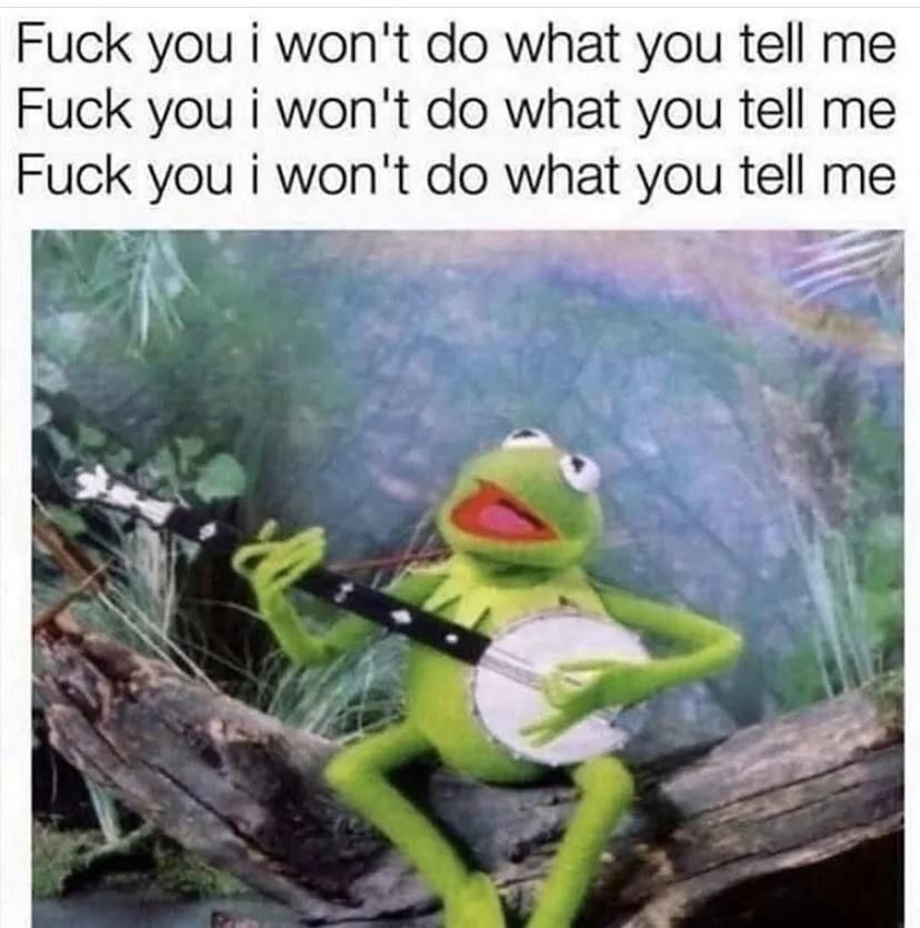 kermit the frog playing a banjo while sitting on a log. the lyrics are above him read:

"Fuck you I won't do what you tell me. Fuck you I won't do what you tell me. Fuck you I won't do what you tell me."