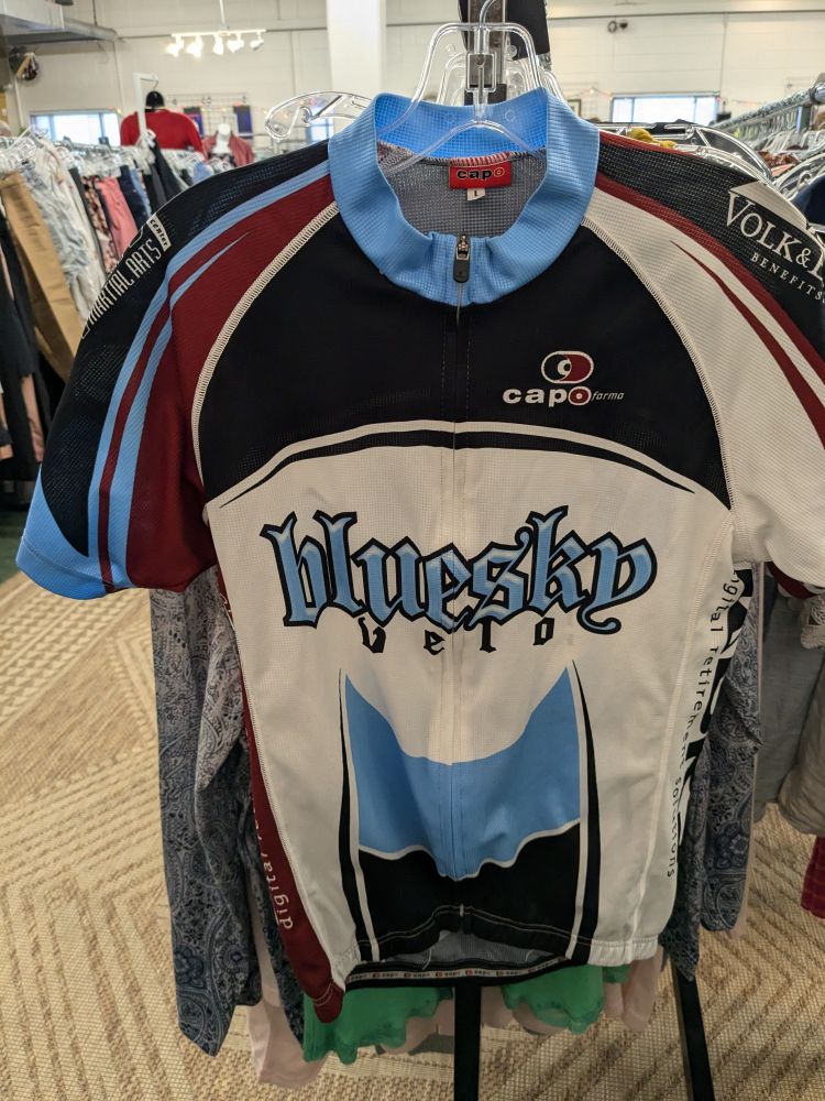 thrift store pic of an uglity-ass cycling jersey that says "bluesky" in a sky-blue gothic font.