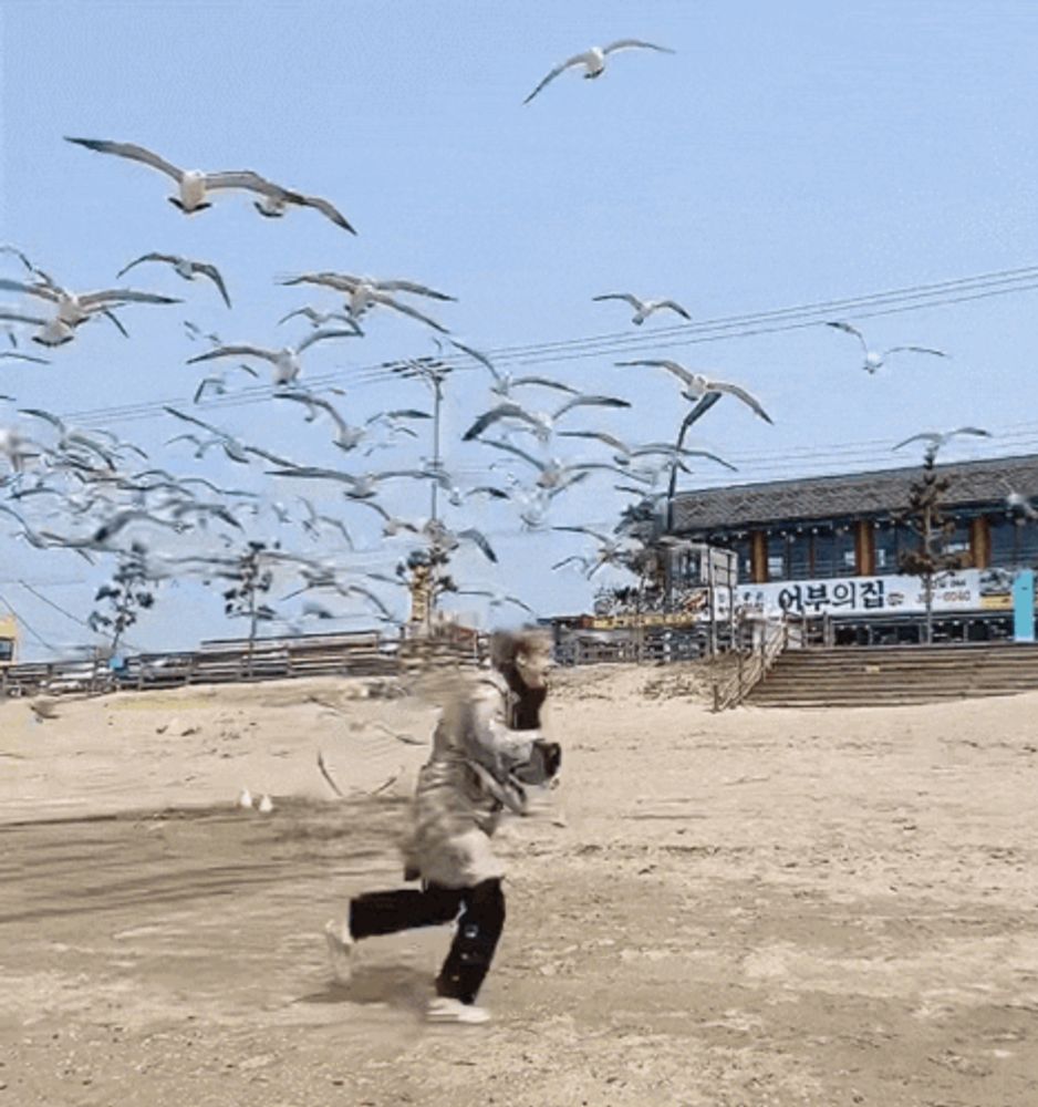 a flock of seagulls are flying in front of a building with a sign that says ' sgw ' on it