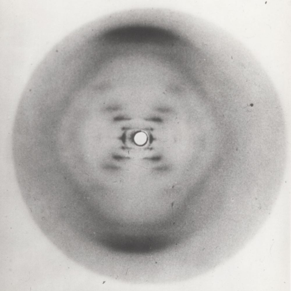 Image Source:
https://www.science.org/content/article/after-bizarre-journey-prized-history-molecular-biology-archive-finds-new-home

Photo 51 shows an x-ray diffraction image of DNA that helped reveal the molecule’s helical structure.

Credit
Science History Institute