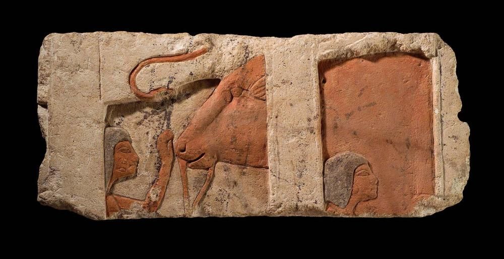 https://collections.mfa.org/objects/164972/talatat-forcefeeding-a-cow?ctx=14378915-8d65-4477-bf52-d457e01ecdf3&idx=12