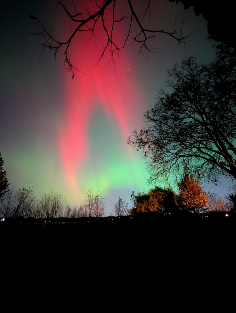 A red band of the Aurora Borealis arcing above another more horizontal green band above some trees