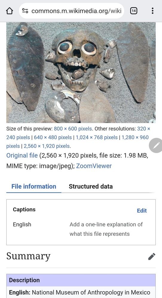 A phone screenshot of a Wikimedia page about a skull from the National Museum of Anthropology in Mexico City. The skull is an artifact related to the sacrifice of children from Tlatelolco. The skull has eye sockets with two stones resembling eyeballs inside them, and an open mouth. The skull is surrounded by other stone or metal artifacts that are long and blade-like.