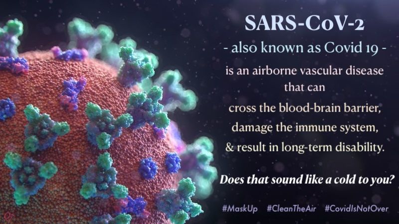 An electron-microscope image of a contrast-dyed Covid 19 viron fills the left side of the image.  It is a large red sphere with small purple and green spikes evenly across the surface.  The test on the right side of the image reads: "SARS-CoV-2, also known as Covid 19, is an airborne vascular disease that can cross the blood-brain barrier, damage the immune system, and result in long-term disability.  Does that sound like a cold to you? #MaskUp #CleanTheAir #CovidIsNotOver"