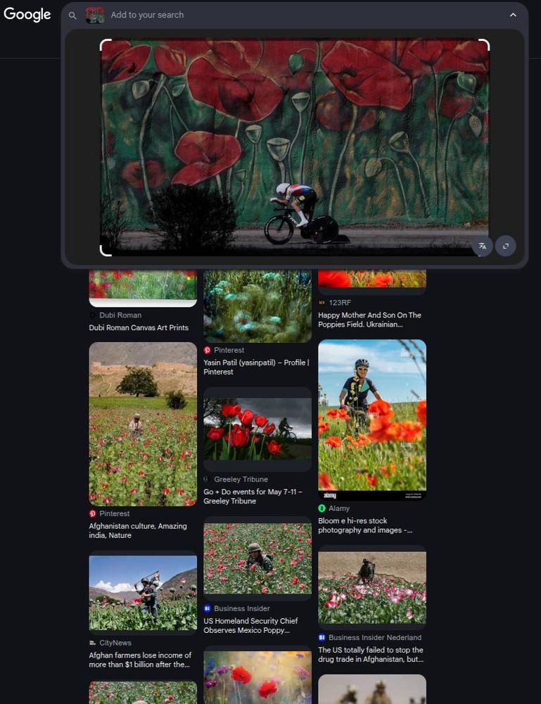 Reverse image search with full picture of cyclist in front of a flowery mural, in Tirana.