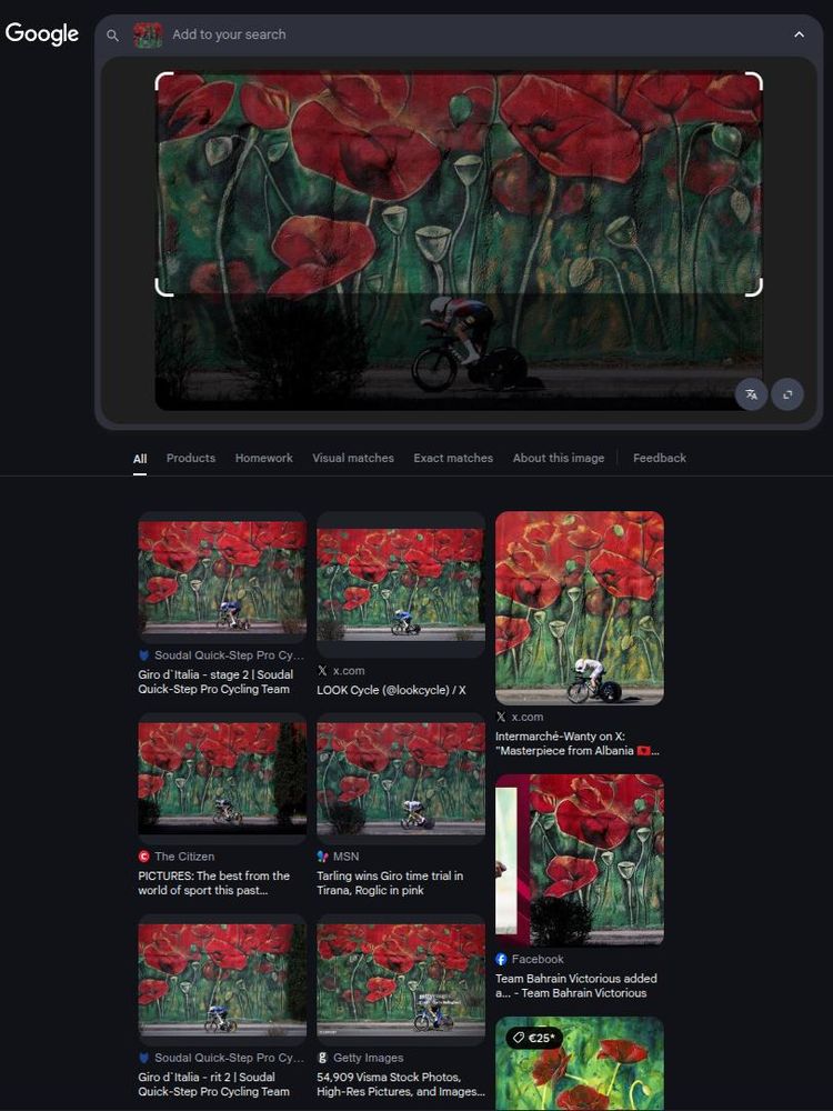 Reverse image search with partial picture of cyclist in front of a flowery mural, in Tirana.