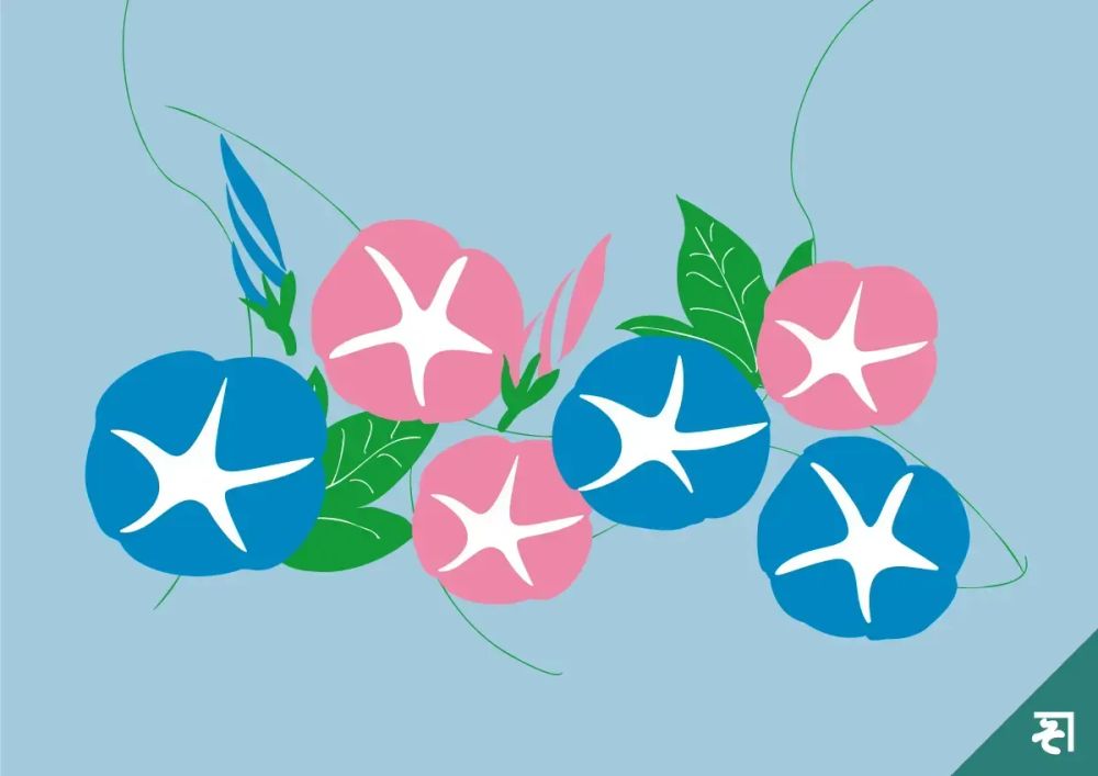 シンプルな朝顔のイラスト