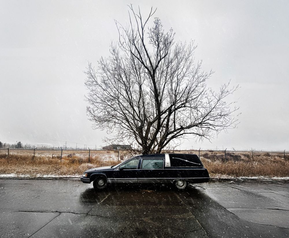A random herse by an empty railyard and one tree. In snow. 