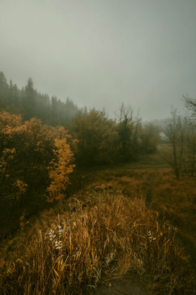 Autumn in glooming light with a hint of menace. 