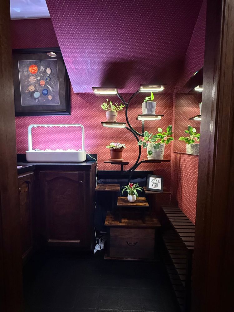 After image: a small room under some stairs with part of the roof sloped. There is dark red printed wallpaper on the walls and sloped roof. An indoor hydroponic garden with grow lights sits on a countertop with a large framed solar system cross stitch above it. To the right is a plant stand with grow lights and several shelves holding a variety of plants. A mirror is on the right wall, reflecting some of the light.