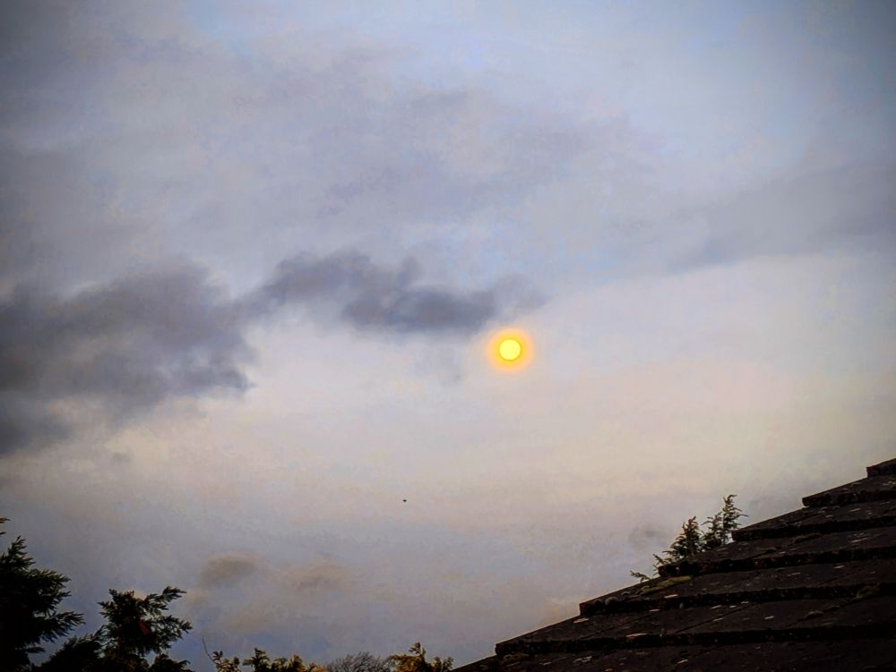 Beaver full moon over Cheltenham