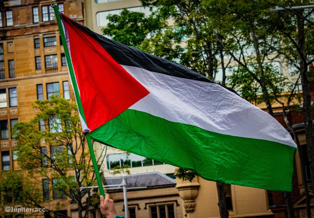 Photograph of the Palestinian flag held up by one of the activists.