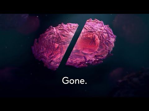 Defeating a Virus That Killed Half a Billion People – The Plea