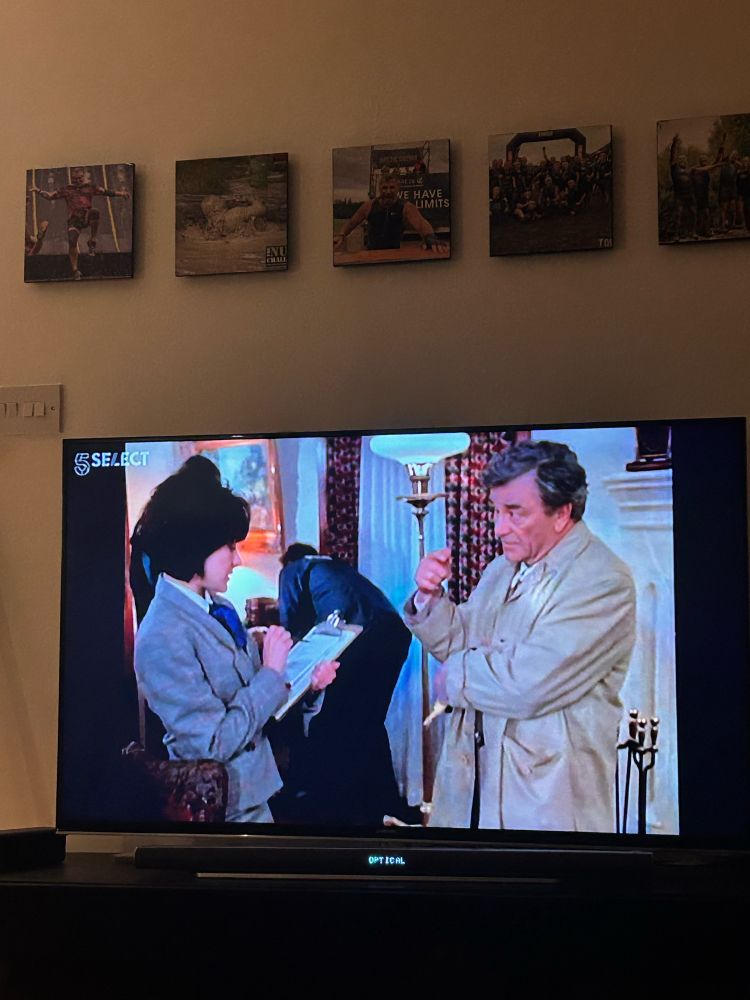 Columbo: A trace of murder 