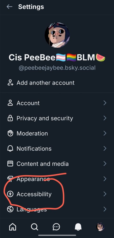 The bsky settings menu with "accessibility" circled in red