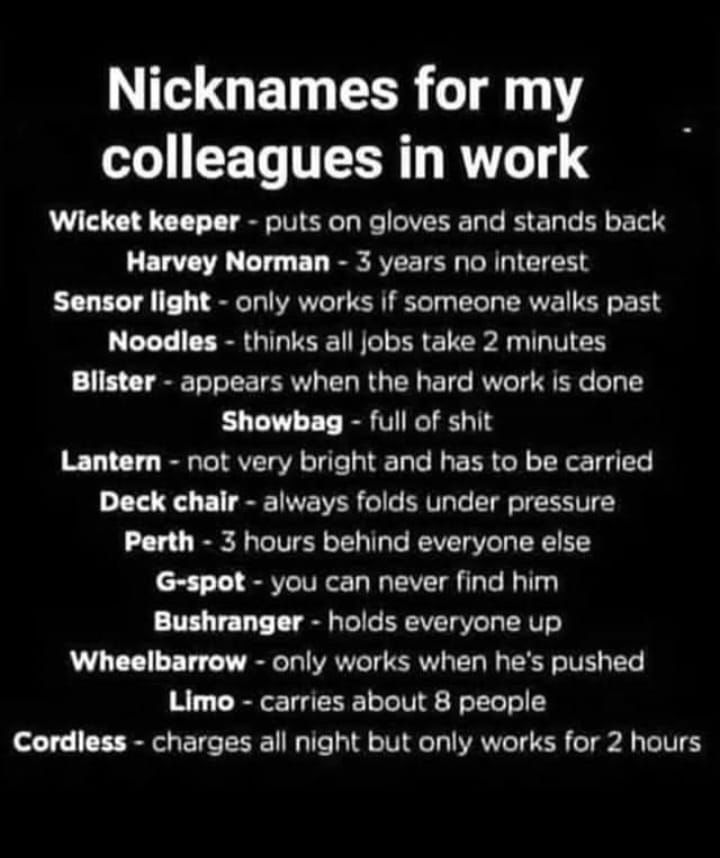 Nicknames for my colleagues in work

Wicket keeper - puts on gloves and stands back

Harvey Norman - 3 years no interest

Sensor light - only works if someone walks past

Noodles - thinks all jobs take 2 minutes

Blister - appears when the hard work is done

Showbag full of shit

Lantern - not very bright and has to be carried

Deck chair - always folds under pressure

Perth - 3 hours behind everyone else

G-spot - you can never find him

Bushranger - holds everyone up

Wheelbarrow - only works when he's pushed

Limo - carries about 8 people

Cordless - charges all night but only works for 2 hours