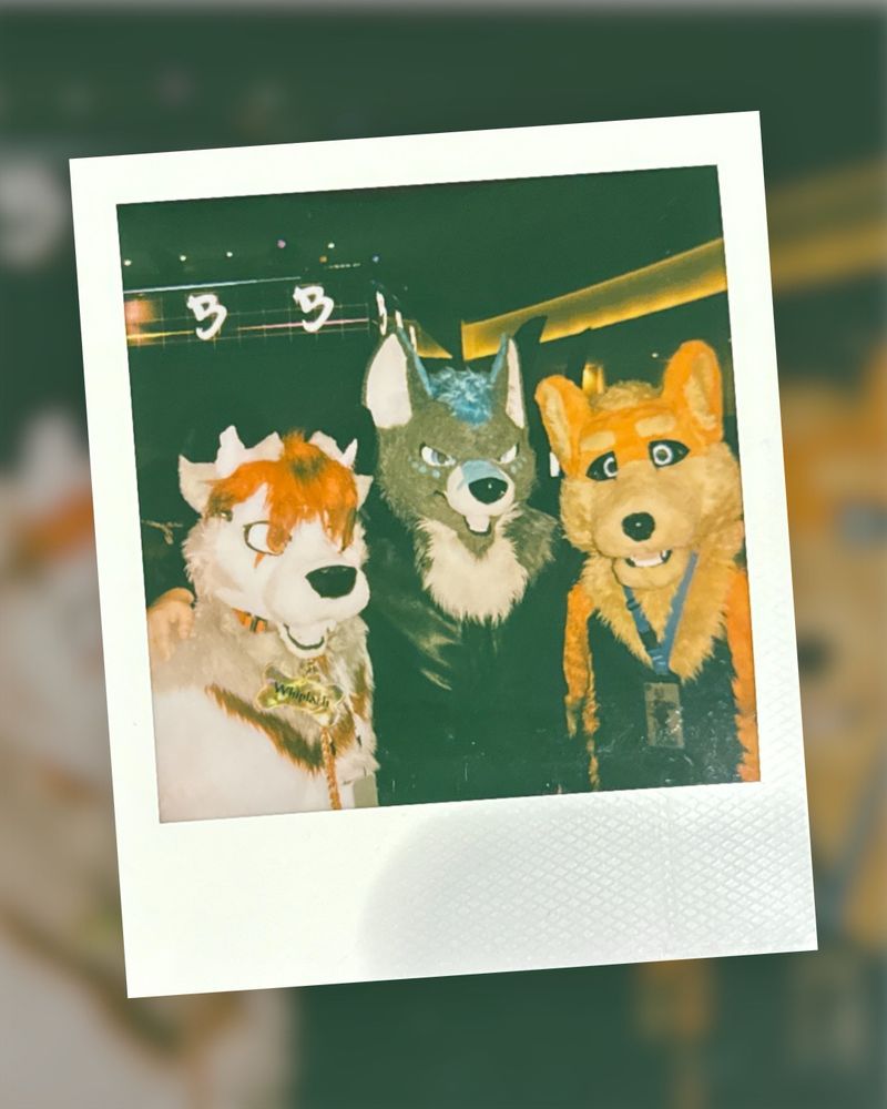 Polaroid of Whiplash, Fiction, and StreamArchanine at FWA 2025