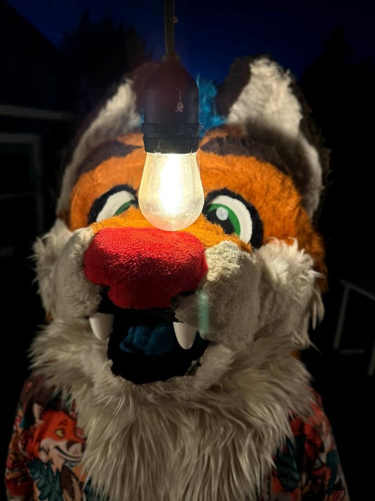 Me in fursuit head looking up at a light bulb on a string light, balanced on my snoot