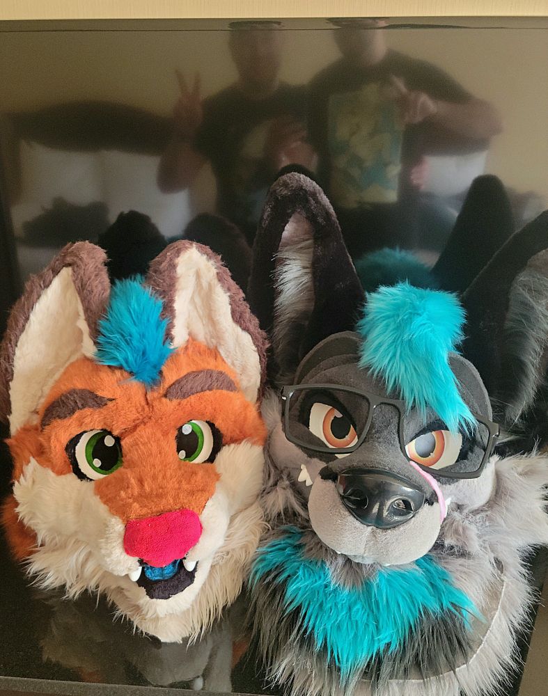 Two fox fursuit heads on a table, with the suiters posing in the TV reflection